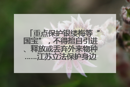 重点保护银缕梅等“国宝”，不得擅自引进、释放或丢弃外来物种……江苏立法保护身边的生物“朋友圈”