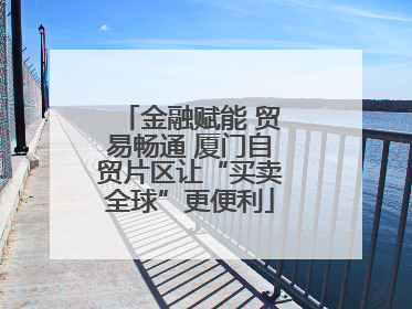 金融赋能 贸易畅通 厦门自贸片区让“买卖全球”更便利