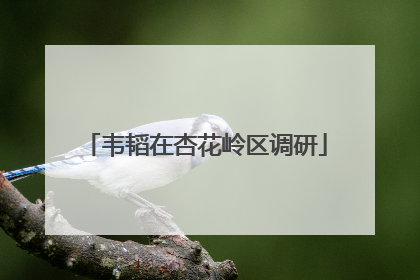 韦韬在杏花岭区调研