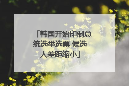 韩国开始印制总统选举选票 候选人差距缩小