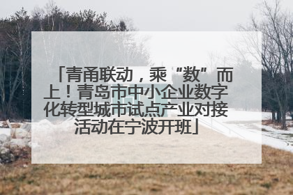 青甬联动，乘“数”而上！青岛市中小企业数字化转型城市试点产业对接活动在宁波开班