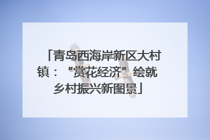 青岛西海岸新区大村镇：“赏花经济”绘就乡村振兴新图景