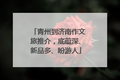 青州到济南作文旅推介，底蕴深、新品多、盼游人
