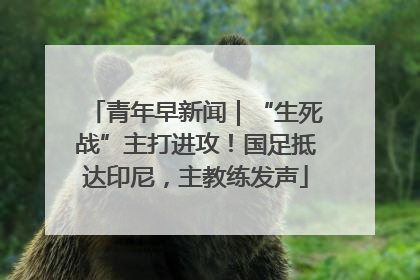 青年早新闻｜“生死战”主打进攻！国足抵达印尼，主教练发声