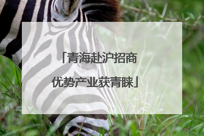 青海赴沪招商 优势产业获青睐
