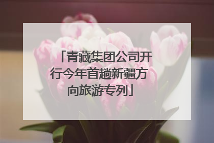 青藏集团公司开行今年首趟新疆方向旅游专列