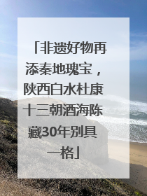 非遗好物再添秦地瑰宝，陕西白水杜康十三朝酒海陈藏30年别具一格