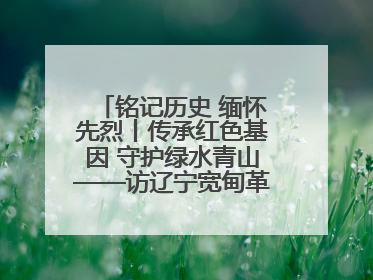 铭记历史 缅怀先烈丨传承红色基因 守护绿水青山——访辽宁宽甸革命老区