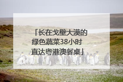 长在戈壁大漠的绿色蔬菜38小时直达粤港澳餐桌