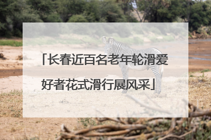 长春近百名老年轮滑爱好者花式滑行展风采