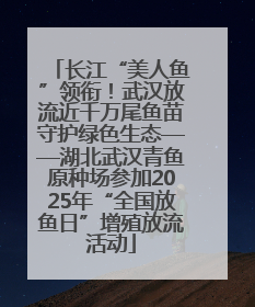 长江“美人鱼”领衔！武汉放流近千万尾鱼苗守护绿色生态——湖北武汉青鱼原种场参加2025年“全国放鱼日”增殖放流活动