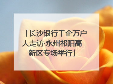 长沙银行千企万户大走访·永州祁阳高新区专场举行