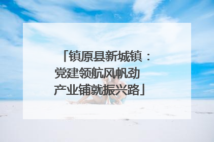 镇原县新城镇：党建领航风帆劲 产业铺就振兴路