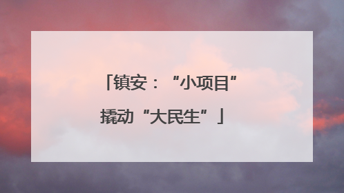 镇安：“小项目”撬动“大民生”