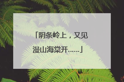 阴条岭上，又见漫山海棠开……