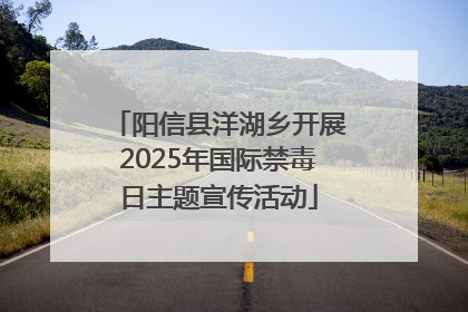 阳信县洋湖乡开展2025年国际禁毒日主题宣传活动