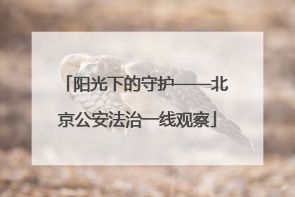 阳光下的守护——北京公安法治一线观察