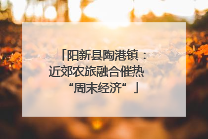 阳新县陶港镇：近郊农旅融合催热“周末经济”