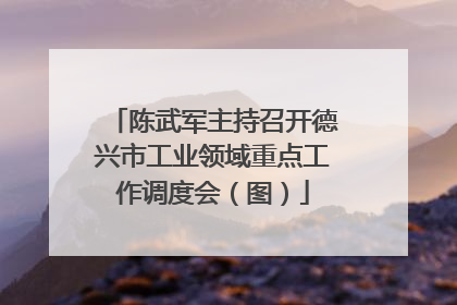 陈武军主持召开德兴市工业领域重点工作调度会（图）