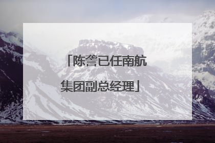 陈詟已任南航集团副总经理