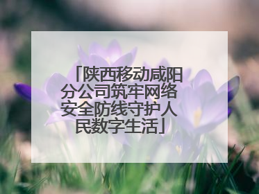 陕西移动咸阳分公司筑牢网络安全防线守护人民数字生活