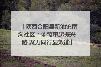 陕西合阳县新池镇南沟社区：葡萄串起振兴路 聚力同行显效能