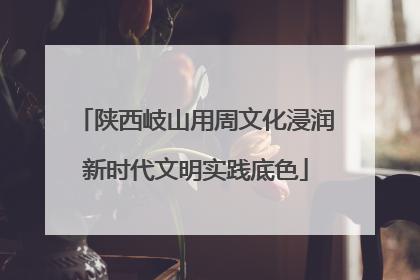 陕西岐山用周文化浸润新时代文明实践底色