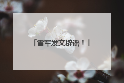 雷军发文辟谣！