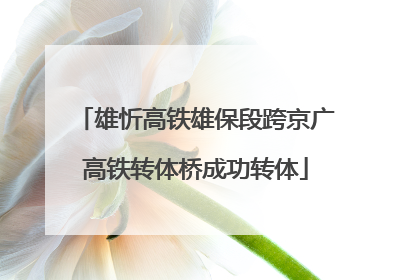 雄忻高铁雄保段跨京广高铁转体桥成功转体