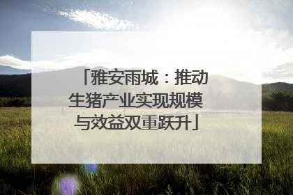 雅安雨城：推动生猪产业实现规模与效益双重跃升