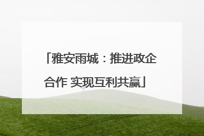 雅安雨城：推进政企合作 实现互利共赢