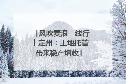 风吹麦浪一线行丨定州：土地托管带来稳产增收