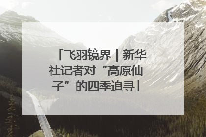 飞羽镜界｜新华社记者对“高原仙子”的四季追寻