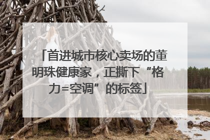 首进城市核心卖场的董明珠健康家，正撕下“格力=空调”的标签