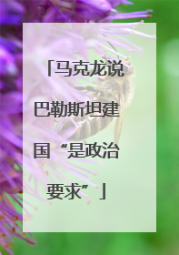 马克龙说巴勒斯坦建国“是政治要求”