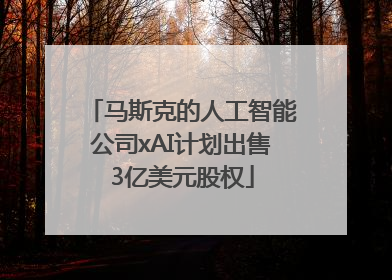 马斯克的人工智能公司xAI计划出售3亿美元股权
