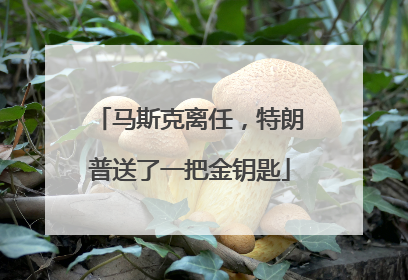 马斯克离任，特朗普送了一把金钥匙