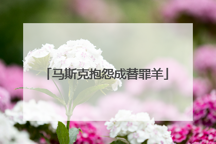 马斯克抱怨成替罪羊