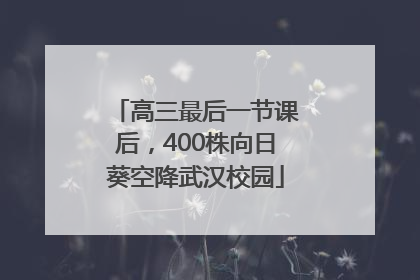 高三最后一节课后，400株向日葵空降武汉校园