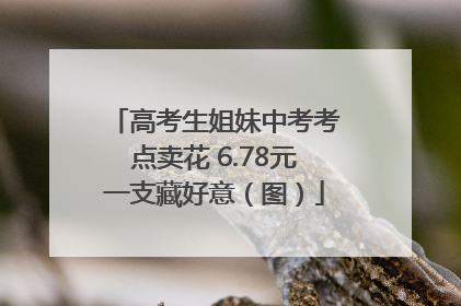 高考生姐妹中考考点卖花 6.78元一支藏好意（图）