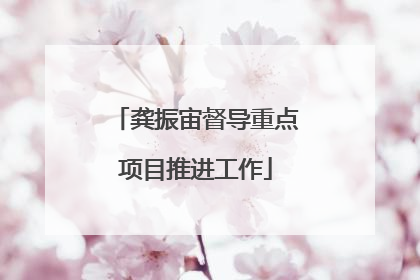 龚振宙督导重点项目推进工作