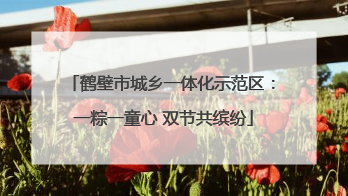鹤壁市城乡一体化示范区：一粽一童心 双节共缤纷