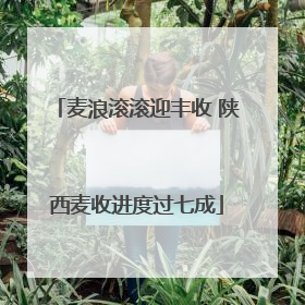 麦浪滚滚迎丰收 陕西麦收进度过七成