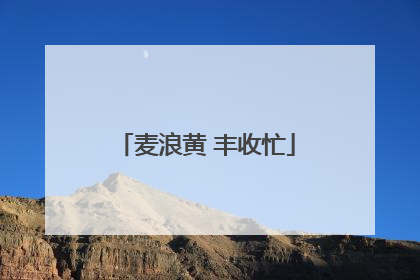 麦浪黄 丰收忙