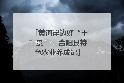 黄河岸边好“丰”景——合阳县特色农业养成记