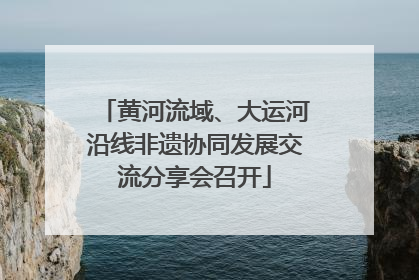 黄河流域、大运河沿线非遗协同发展交流分享会召开