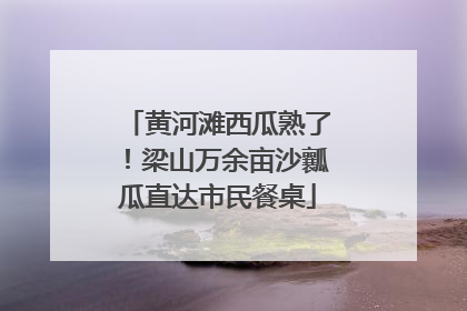 黄河滩西瓜熟了！梁山万余亩沙瓤瓜直达市民餐桌