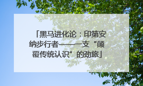 黑马进化论：印第安纳步行者——一支“颠覆传统认识”的劲旅