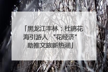 黑龙江丰林：杜鹃花海引游人 “花经济”助推文旅新热潮