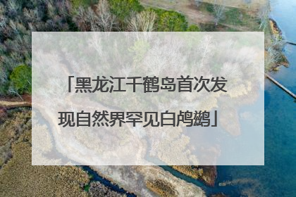 黑龙江千鹤岛首次发现自然界罕见白鸬鹚